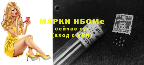 прущие грибы Медногорск