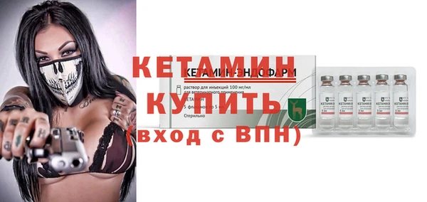 прущие грибы Медногорск