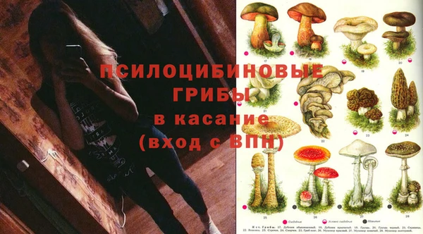 дурь Михайловка