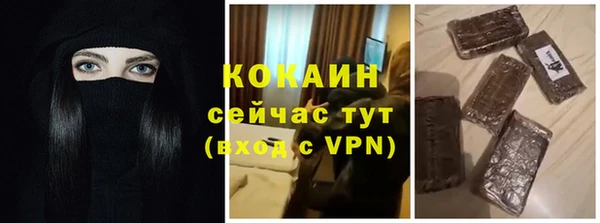 прущие грибы Верхний Тагил