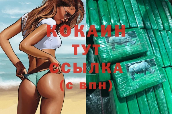 прущие грибы Медногорск
