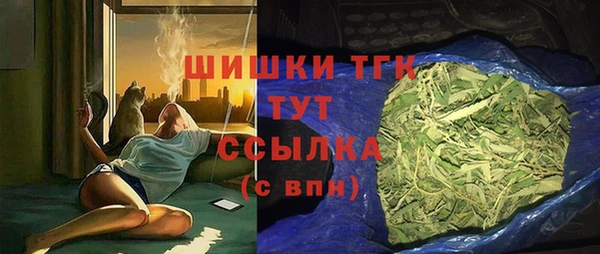 прущие грибы Медногорск