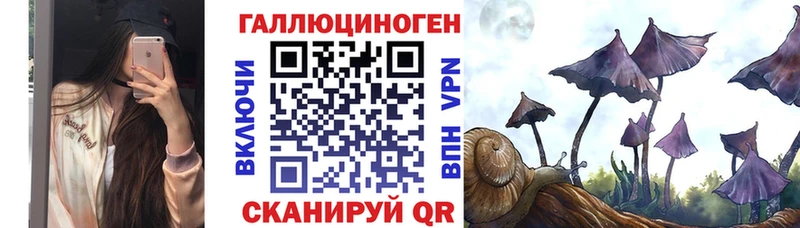 Псилоцибиновые грибы Psilocybe mega как войти Красногорск дарнет шоп